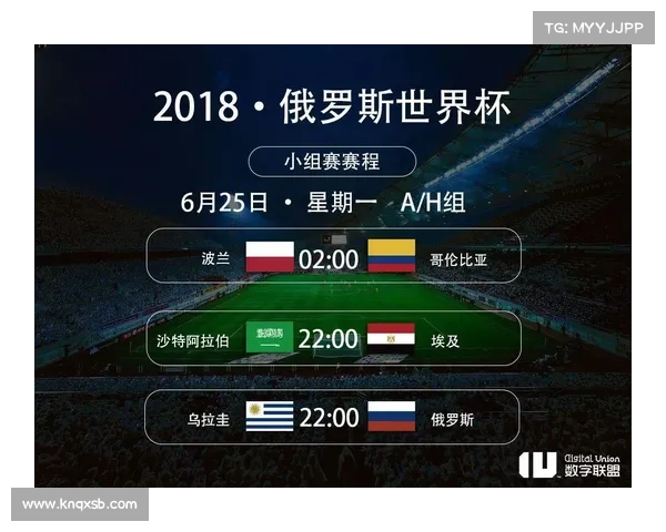 2023法国对波兰比赛全程解析与观赛技巧深度指南全面升级解读