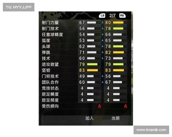 全面解析曼联传奇弗兰的关键技术特点与实战运用精要全面提升指南